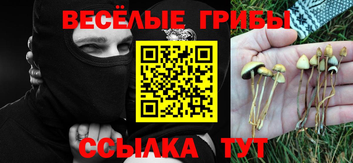 Псилоцибиновые грибы прущие грибы Воткинск